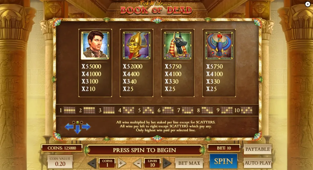 Book of Dead slot