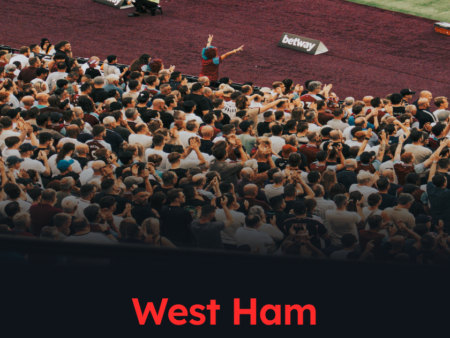 Next West Ham Manager Contender and Odds